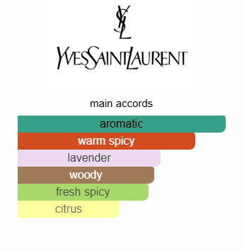 YSL La Nuit De L'Homme